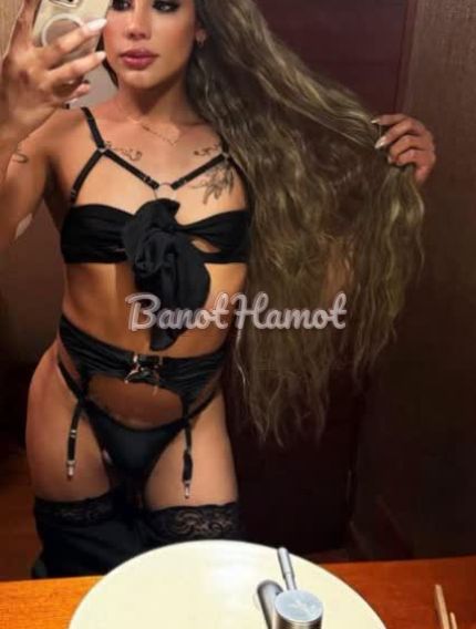 קוקסינליות בצפון