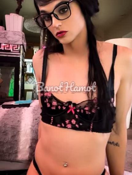קוקסינליות בצפון